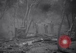 Image of mountain fire Santa Monica California USA, 1938, second 42 stock footage video 65675033798