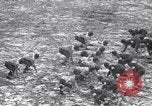 Image of Duke versus Pittsburgh college football Durham North Carolina USA, 1938, second 50 stock footage video 65675033799