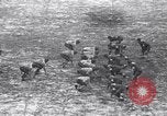 Image of Duke versus Pittsburgh college football Durham North Carolina USA, 1938, second 58 stock footage video 65675033799