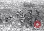 Image of Duke versus Pittsburgh college football Durham North Carolina USA, 1938, second 59 stock footage video 65675033799