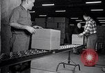 Image of Jonas Salk Polio vaccine deployed Ann Arbor Michigan USA, 1955, second 62 stock footage video 65675033801
