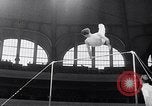 Image of Gymnastic championship Germany, 1955, second 51 stock footage video 65675033804