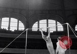 Image of Gymnastic championship Germany, 1955, second 57 stock footage video 65675033804
