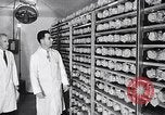 Image la vaccination contre la poliomyélite California United States USA, 1955, de la seconde 7 séquences d'archives historiques vidéo 65675033806