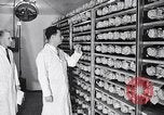 Image la vaccination contre la poliomyélite California United States USA, 1955, de la seconde 8 séquences d'archives historiques vidéo 65675033806