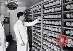 Image la vaccination contre la poliomyélite California United States USA, 1955, de la seconde 9 séquences d'archives historiques vidéo 65675033806