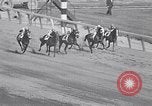 Immagine di Corsa di cavalli Jamaica New York USA, 1955, secondo 29 filmato di repertorio 65675033819
