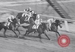 Immagine di Corsa di cavalli Jamaica New York USA, 1955, secondo 36 filmato di repertorio 65675033819