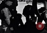 Image of B-25 Mitchell Eglin Air Force Base Okaloosa County Florida USA, 1942, second 32 stock footage video 65675033838