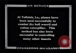 Immagine di DH-4 De Havilland Tallulah Louisinia, 1925, secondo 3 filmato di repertorio 65675033850