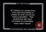 Immagine di DH-4 De Havilland Tallulah Louisinia, 1925, secondo 5 filmato di repertorio 65675033850