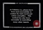 Immagine di DH-4 De Havilland Tallulah Louisinia, 1925, secondo 12 filmato di repertorio 65675033850