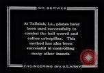 Immagine di DH-4 De Havilland Tallulah Louisinia, 1925, secondo 17 filmato di repertorio 65675033850