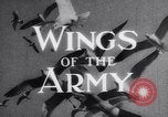 Image of Montage of events involving Wright brothers and their airplanes Virginia United States USA, 1908, second 8 stock footage video 65675033853
