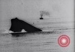 Standbild USS Virginia sinkt nach Bombenanschlägen von Army Air Service Ebenen North Carolina United States USA, 1923, aus Sekunde 40 historischem Filmmaterial Videoclip 65675033883