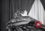 Image of fashion show New York United States USA, 1935, second 34 stock footage video 65675033892