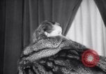 Image of fashion show New York United States USA, 1935, second 35 stock footage video 65675033892