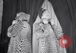 Image of fashion show New York United States USA, 1935, second 58 stock footage video 65675033892