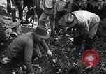 Immagine di Incidente aereo Independence Ohio USA, 1938, secondo 32 filmato di repertorio 65675033903
