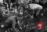 Immagine di Incidente aereo Independence Ohio USA, 1938, secondo 33 filmato di repertorio 65675033903