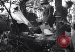 Immagine di Incidente aereo Independence Ohio USA, 1938, secondo 42 filmato di repertorio 65675033903
