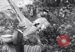Immagine di Incidente aereo Independence Ohio USA, 1938, secondo 45 filmato di repertorio 65675033903