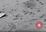 Standbild cricket Insekt Pasco Washington USA, 1938, aus Sekunde 13 historischem Filmmaterial Videoclip 65675033906