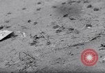 Standbild cricket Insekt Pasco Washington USA, 1938, aus Sekunde 14 historischem Filmmaterial Videoclip 65675033906