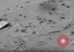 Standbild cricket Insekt Pasco Washington USA, 1938, aus Sekunde 15 historischem Filmmaterial Videoclip 65675033906