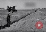 Standbild cricket Insekt Pasco Washington USA, 1938, aus Sekunde 16 historischem Filmmaterial Videoclip 65675033906