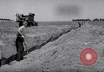Standbild cricket Insekt Pasco Washington USA, 1938, aus Sekunde 17 historischem Filmmaterial Videoclip 65675033906
