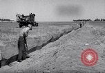 Standbild cricket Insekt Pasco Washington USA, 1938, aus Sekunde 18 historischem Filmmaterial Videoclip 65675033906