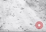 Standbild cricket Insekt Pasco Washington USA, 1938, aus Sekunde 20 historischem Filmmaterial Videoclip 65675033906
