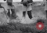 Standbild cricket Insekt Pasco Washington USA, 1938, aus Sekunde 32 historischem Filmmaterial Videoclip 65675033906