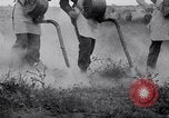 Standbild cricket Insekt Pasco Washington USA, 1938, aus Sekunde 33 historischem Filmmaterial Videoclip 65675033906
