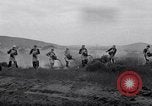Standbild cricket Insekt Pasco Washington USA, 1938, aus Sekunde 35 historischem Filmmaterial Videoclip 65675033906