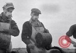 Standbild cricket Insekt Pasco Washington USA, 1938, aus Sekunde 37 historischem Filmmaterial Videoclip 65675033906