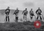 Standbild cricket Insekt Pasco Washington USA, 1938, aus Sekunde 39 historischem Filmmaterial Videoclip 65675033906