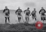 Standbild cricket Insekt Pasco Washington USA, 1938, aus Sekunde 40 historischem Filmmaterial Videoclip 65675033906
