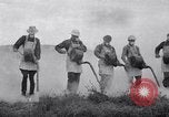 Standbild cricket Insekt Pasco Washington USA, 1938, aus Sekunde 41 historischem Filmmaterial Videoclip 65675033906