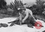 Image of Chesapeake Retriever Palo Alto California USA, 1938, second 23 stock footage video 65675033908
