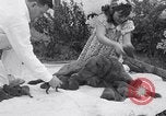 Image of Chesapeake Retriever Palo Alto California USA, 1938, second 26 stock footage video 65675033908