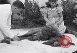 Image of Chesapeake Retriever Palo Alto California USA, 1938, second 37 stock footage video 65675033908