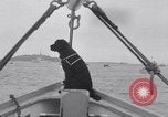 Standbild Steam Boot überqueren Boston Massachusetts USA, 1938, aus Sekunde 11 historischem Filmmaterial Videoclip 65675033909