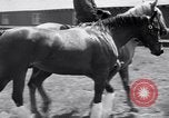 Image La guerre l'amiral Belmont Park New York USA, 1938, de la seconde 9 séquences d'archives historiques vidéo 65675033910
