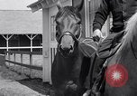 Image La guerre l'amiral Belmont Park New York USA, 1938, de la seconde 15 séquences d'archives historiques vidéo 65675033910