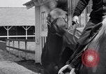 Image La guerre l'amiral Belmont Park New York USA, 1938, de la seconde 17 séquences d'archives historiques vidéo 65675033910