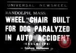 Image paralysé chien Randolph Massachusetts USA, 1938, de la seconde 1 séquences d'archives historiques vidéo 65675033914