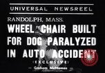 Image paralysé chien Randolph Massachusetts USA, 1938, de la seconde 4 séquences d'archives historiques vidéo 65675033914