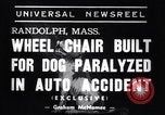 Image paralysé chien Randolph Massachusetts USA, 1938, de la seconde 5 séquences d'archives historiques vidéo 65675033914